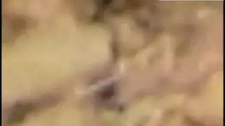 سكس ارمل كبار السن اثناء النوم