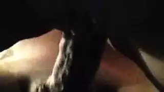 ريلي ريد تأخذ قضيبين بعد مص وتدليك شرجي مكثف