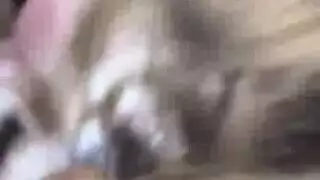 سكس ممتع ونيك لظيف