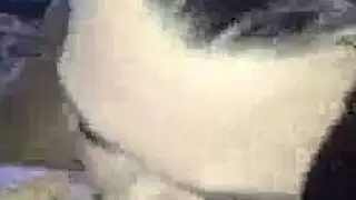نص كس الجارة المكالمات