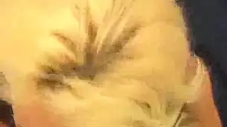 مشهد بورن هندي صارم لكارينا كابور