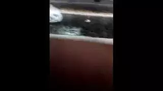 أثداء مني الشاذلي الضخمة ترتد في هذا الفيديو الإباحي القاسي