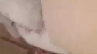 ااتحولين