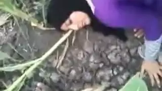 مصريه تتنام في المكتب