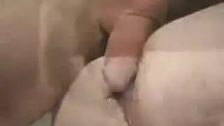 شباب مثيرون يتم القبض عليهم يستمنون أمام جارتهم الساخنة