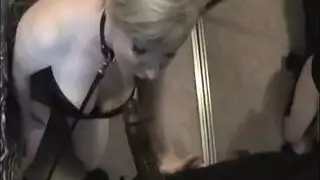 تجرؤ الكلبة البظر