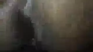 الهرة تسلية لهذه وقحة الرومانية