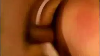 ح م طي