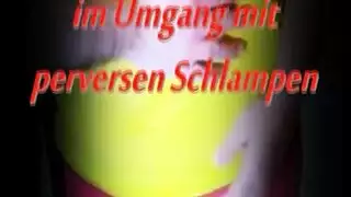 نيك الحيونات احصان