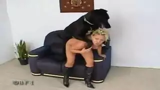 رجال نيك حيوانات سكس
