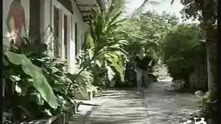 ويك كرتونيي
