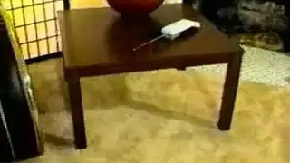 ساخنبات