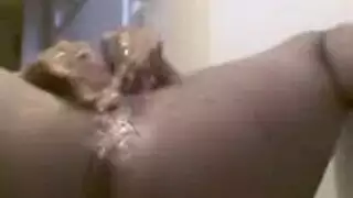من السهل أن تحب امرأة سوداء