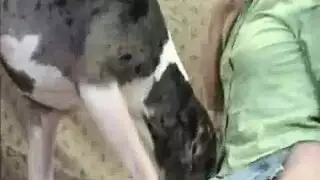 بنات مع حيوانات كلاب بن مرة