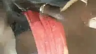 فيرارى ارئيلا