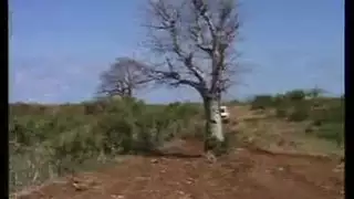 أفلام إباحية مثيرة: قزمات صغيرات يخضعن لقضيب عملاق
