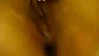 حركة شرجية مكثفة مع دجاجة سورية