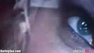 جنس عائلي محرم: الجميع يحصل على دوره