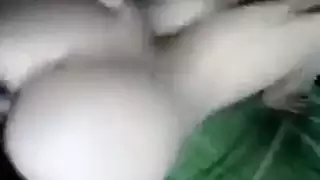 الجنس المثلي الجامح مع أفعال صريحة