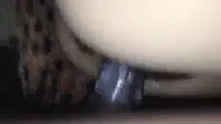 أوجي سفاح المحارم إكس إكس إكس: أفراد العائلة جميعًا معًا