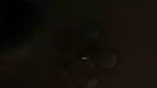 اولاد ينيكو مرت ابوهم
