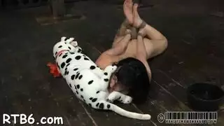 أوجي مزرعة الحيوانات سفاح القربى المكثف