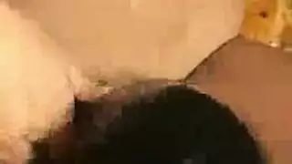 بعض الأصدقاء هم رجل محظوظ واحد بينما يواجه الآخرون جلسة جنسية جماعية