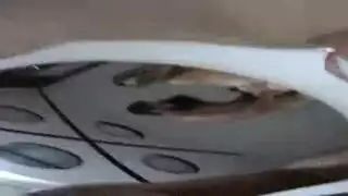 سك س نيك بنات مجاني اباحه نيك حصان