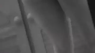 ألحس فرج زوجة صديقي وكأنه مأدبة