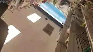 كلبات المكتب تمتلئ فتحاتهن