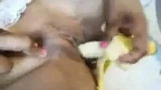 نيك كس واطول زب