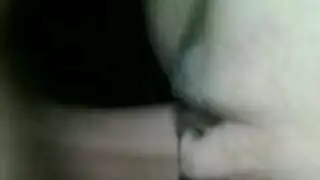 نيك كس بعير كبير وقوي