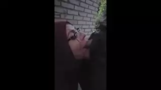 الجميلة المحجبة ميا تُمارس معها الجنس الصريح