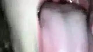 سكسي لوطه في رحله