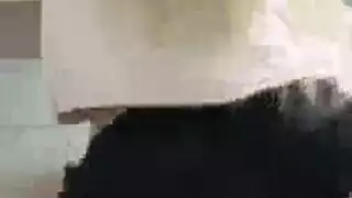 الزوجة حمراء الشعر تركع لإسعاد الأسود في مشهد إباحي صريح