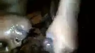 يسكس عروب