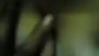 افلام نيك ملط اجنبي نياكه جماعي في المطبخ أجنبي اباحي ملط اجنبي نياكهwyrl5c17wq8d