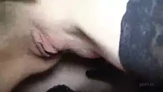 فتى يطحن مؤخرته على لسان الأب