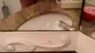 ذزذزذزشمشظشزشزسزس