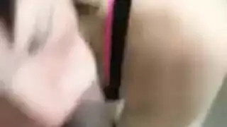 كس من الدرجة الملكية: تناك حتى تلعن