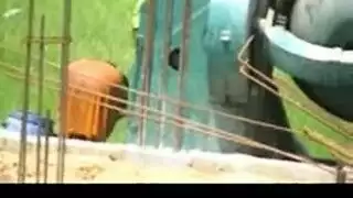 حمار كبير وجميل