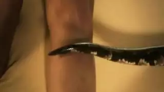 تايلى وود