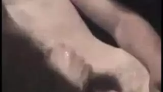زوجان رومانسي القبض