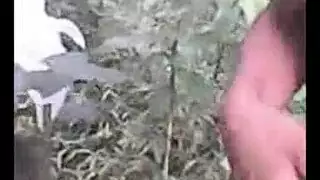 نيك وكلا م يهيج