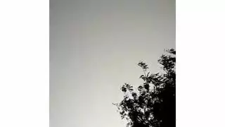 شيلي سكرتيرات مقيد