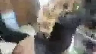 اغتصاب بنات من زيب كبير زنجي