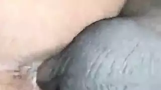 لود مع ولود