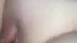 بوصة الديك دكتورالاسنان الكمال الجسم