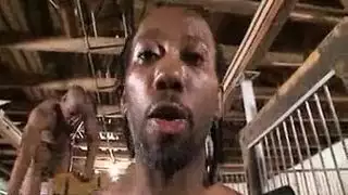 سكس بناني ممثلين
