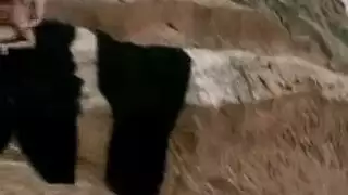 كانسو